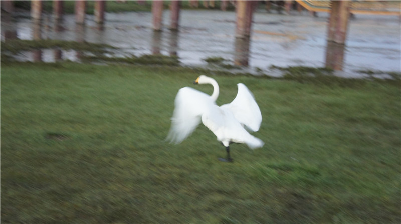 dsc05570_����.jpg