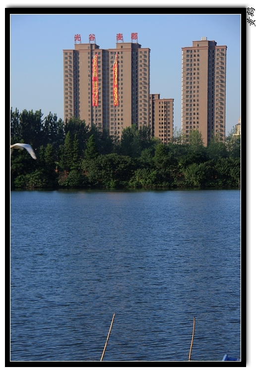 ��ѷ��450.jpg