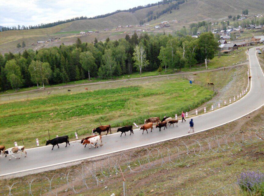 qqͼƬ20150910140421.jpg