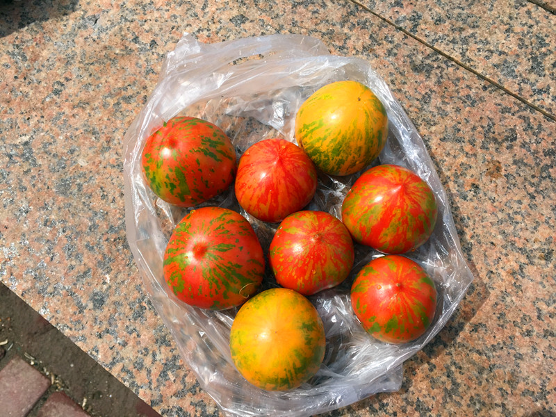 136_����.jpg