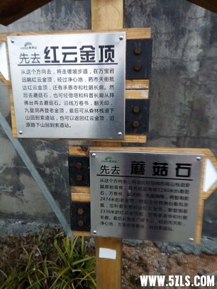 202219q049p0fo0km2gfgf.jpg