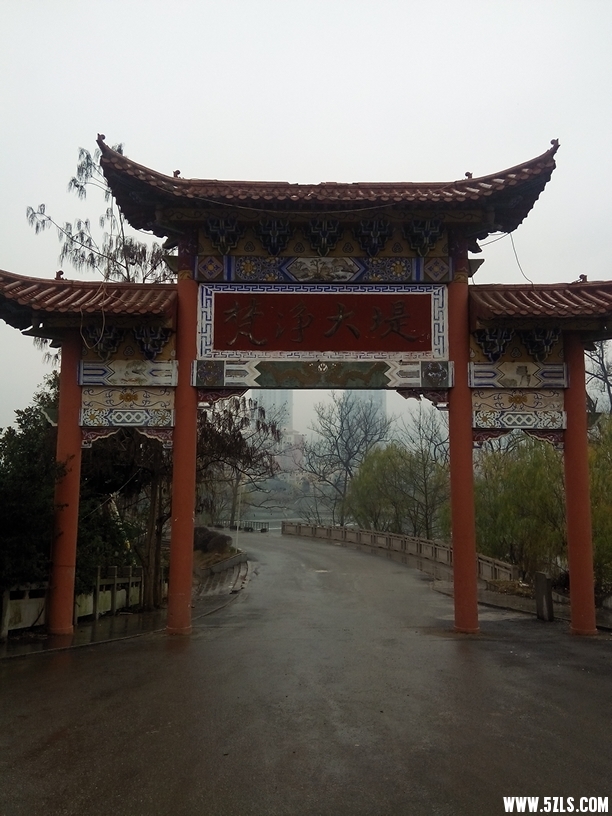 174209u43upx5aduy3t372.jpg