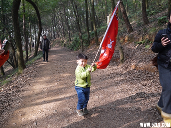 P1120150037.jpg