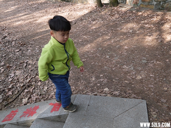 P1120147034.jpg