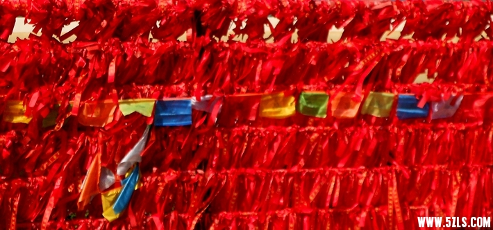 DSCN7694.JPG