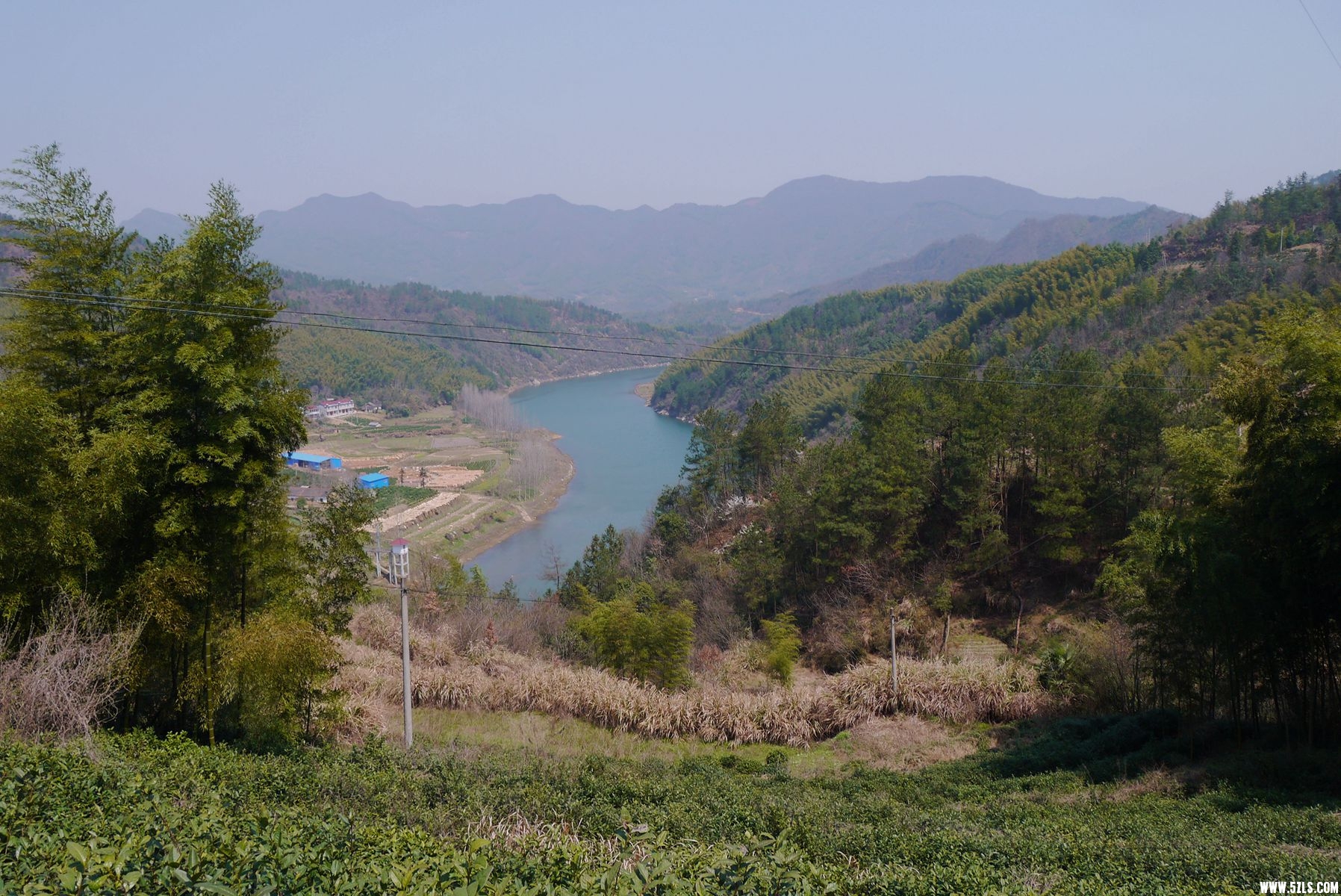 P1120704_����.jpg