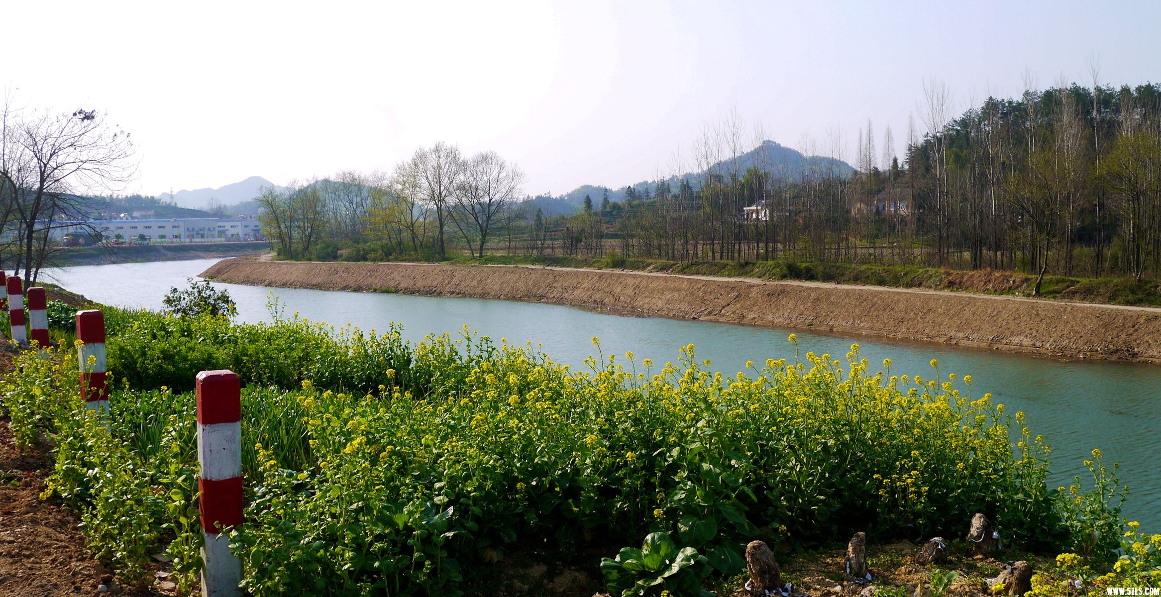 P1120706_����.jpg