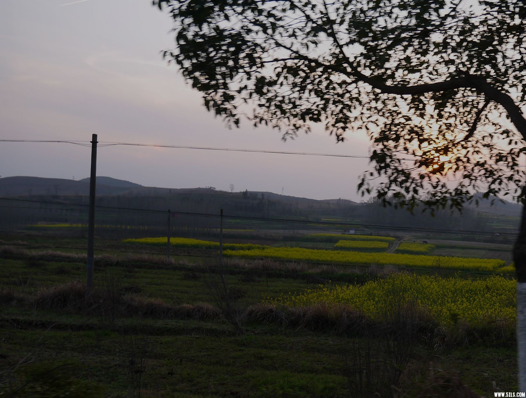 P1120805_����.jpg