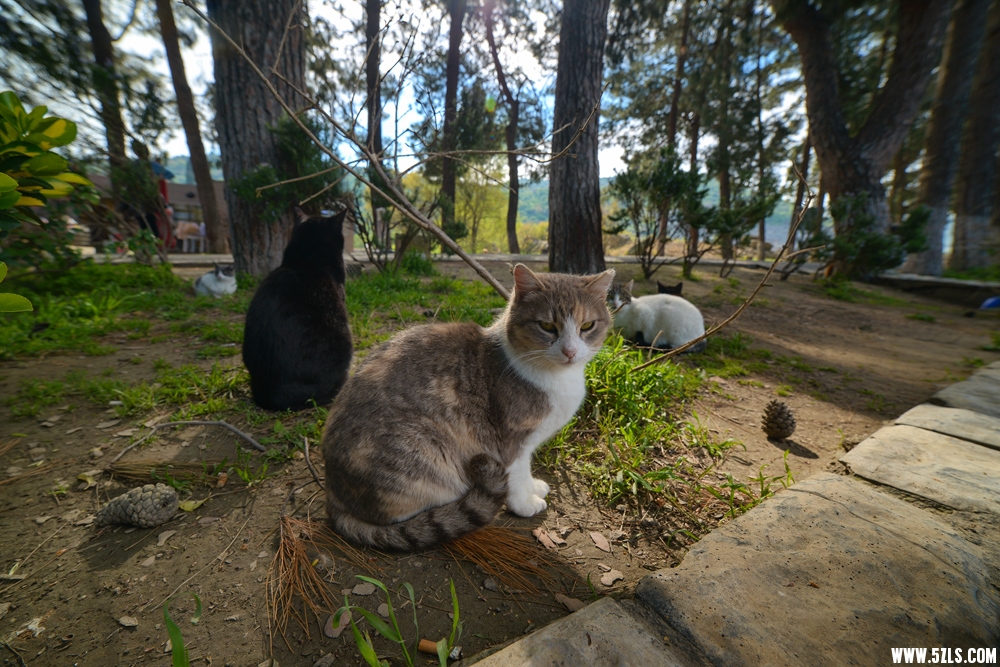 DSC_8658_����.jpg