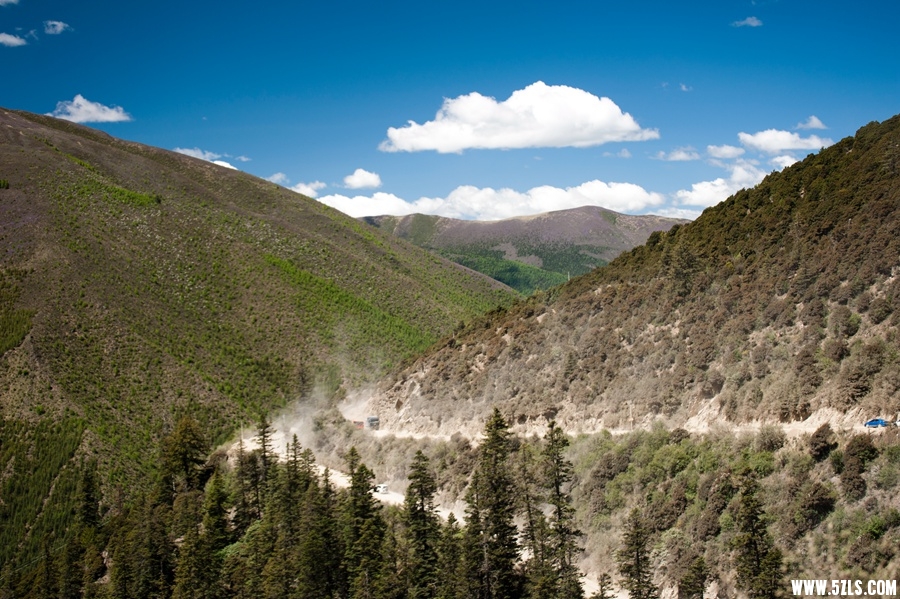 _DSC3111.jpg