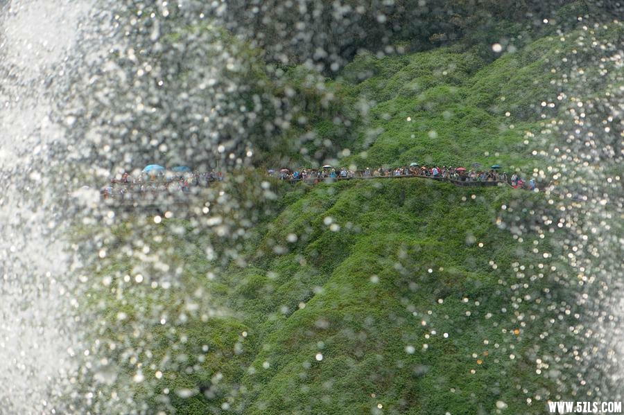 DSC_4358_副本_副本.jpg