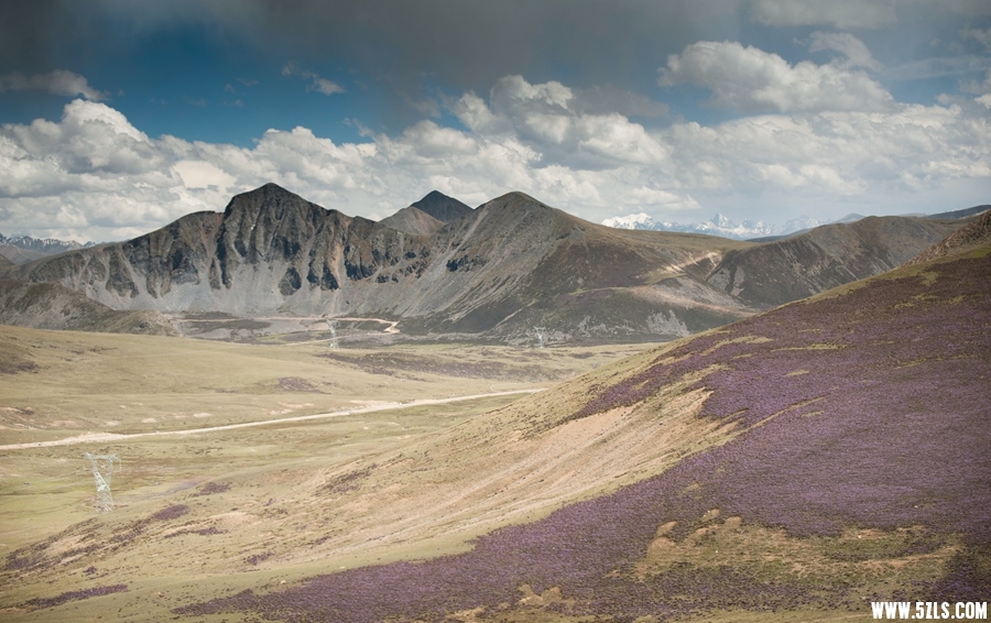 _DSC4371.jpg