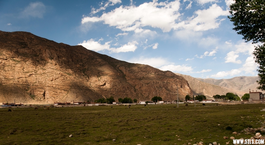_DSC4405.jpg