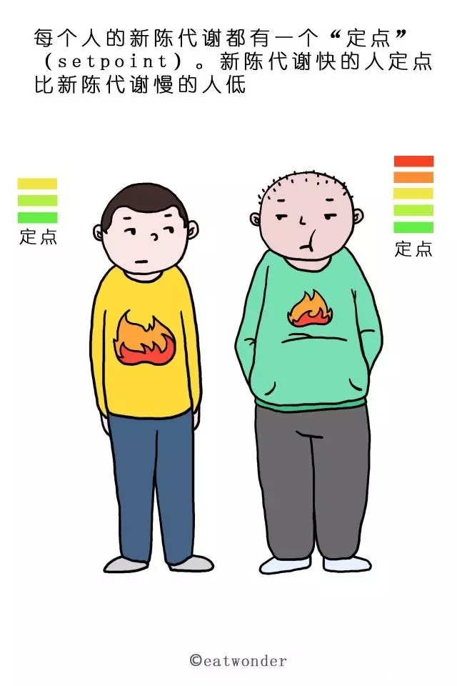 21.webp (1).jpg