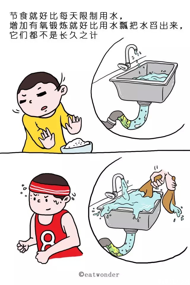 29.webp.jpg