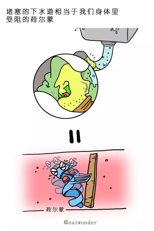 32.webp.jpg