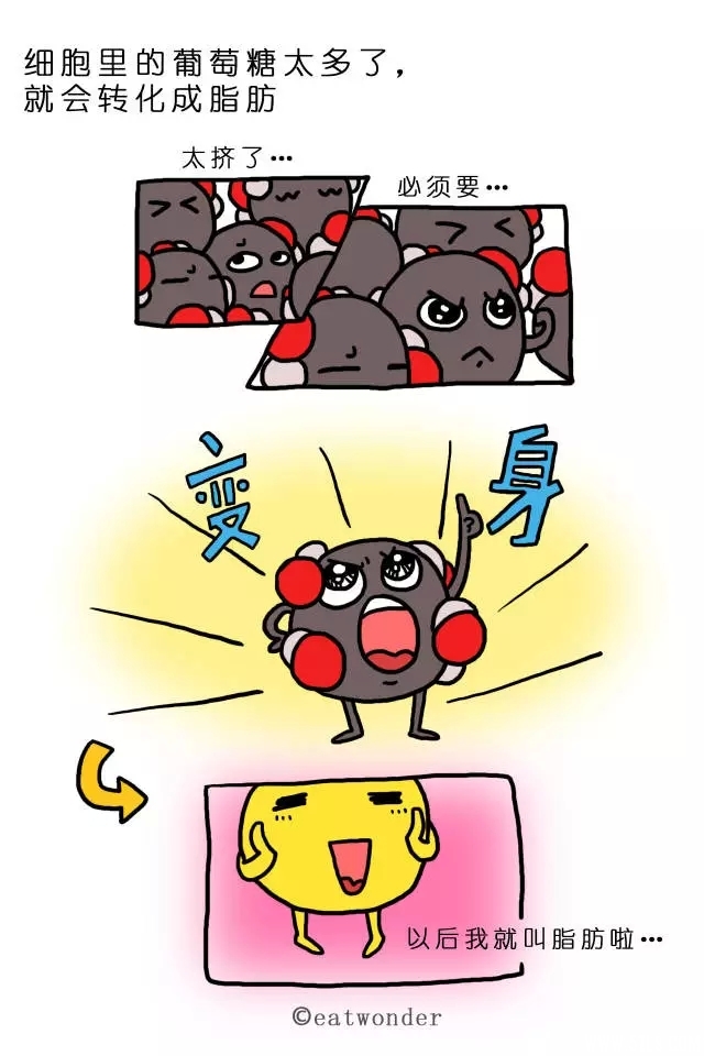37.webp.jpg
