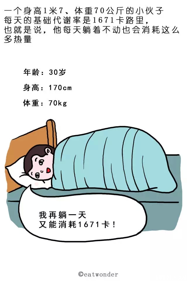 52.webp.jpg