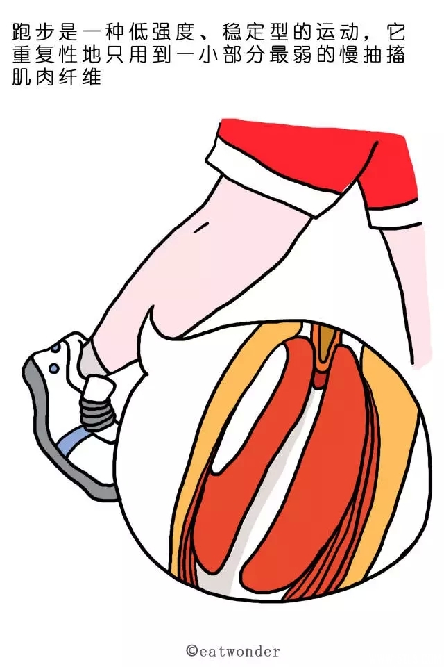53.webp (1).jpg