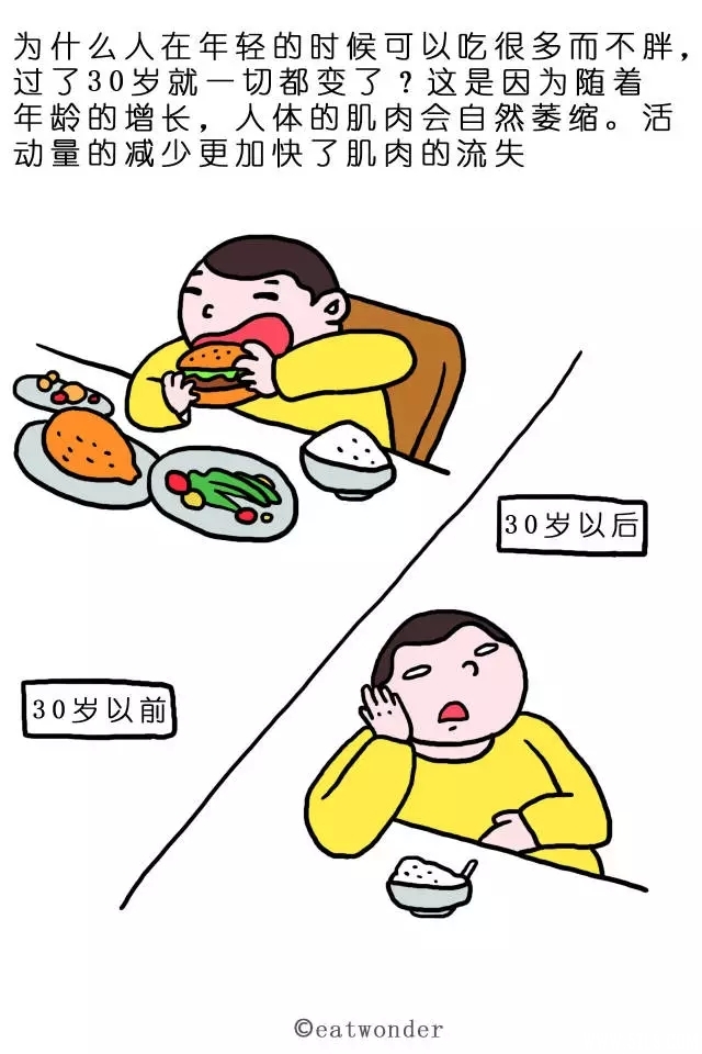 56.webp.jpg