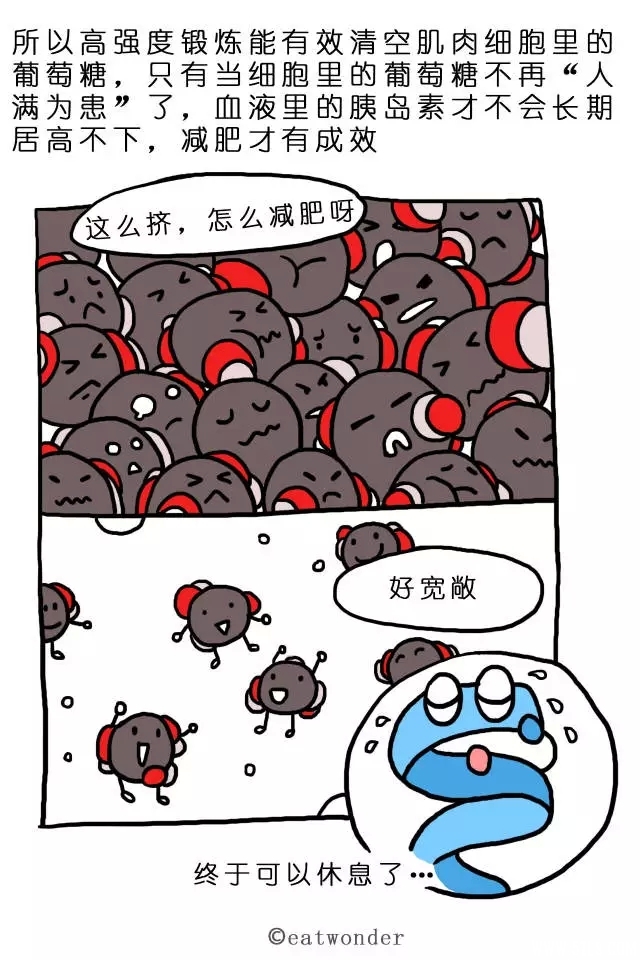 60.webp.jpg