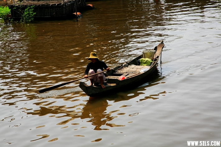 IMG_8650.JPG