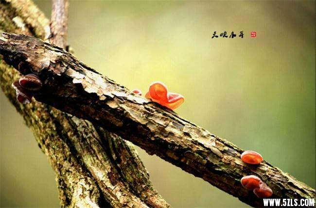 QQͼƬ20151123181346.jpg