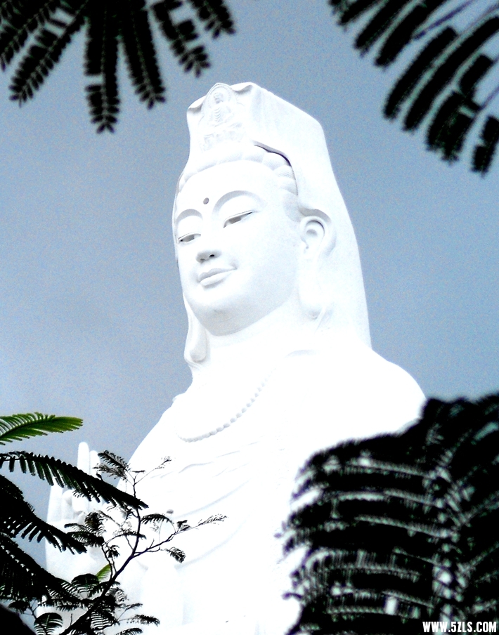 DSCN1268.JPG