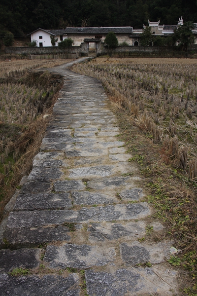 20160101��Ƭ 114.jpg