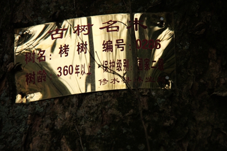 20160101��Ƭ 102.jpg