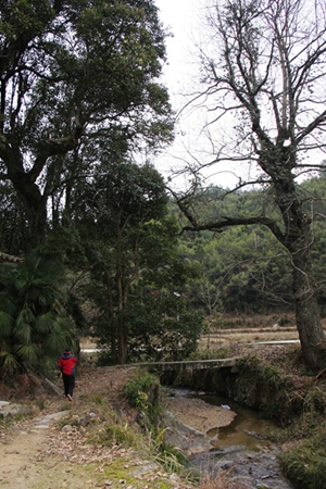 20160101��Ƭ 106.jpg