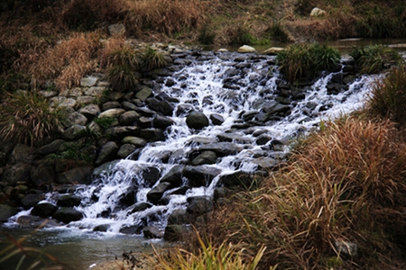 20160101��Ƭ 233.jpg