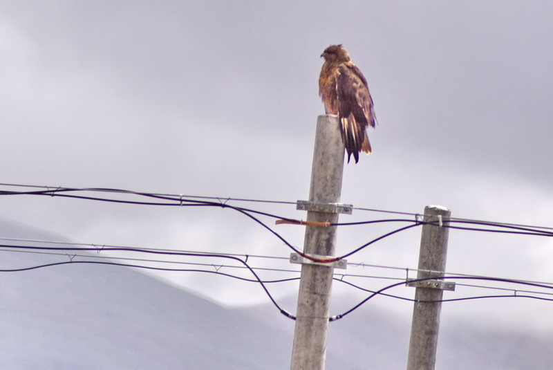 dsc_6025.jpg