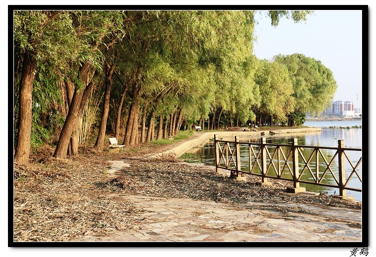 ��ٺ�--���赺042.jpg