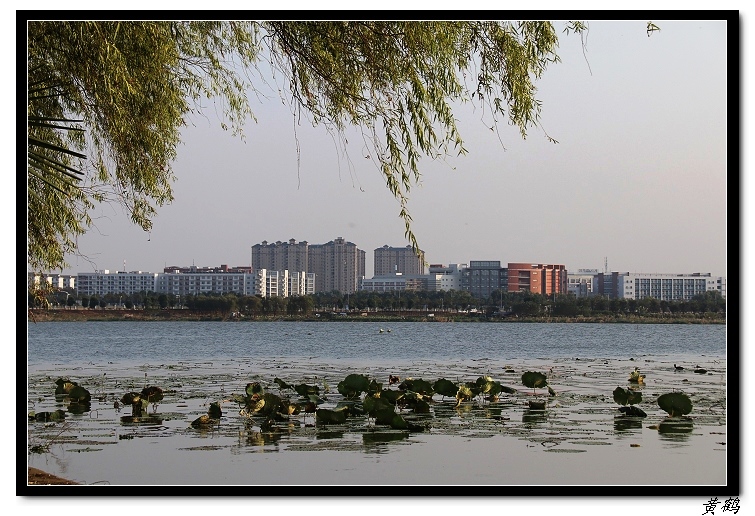 ��ٺ�--���赺054.jpg