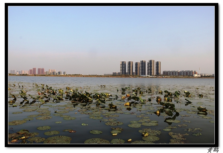 ��ٺ�--���赺055.jpg