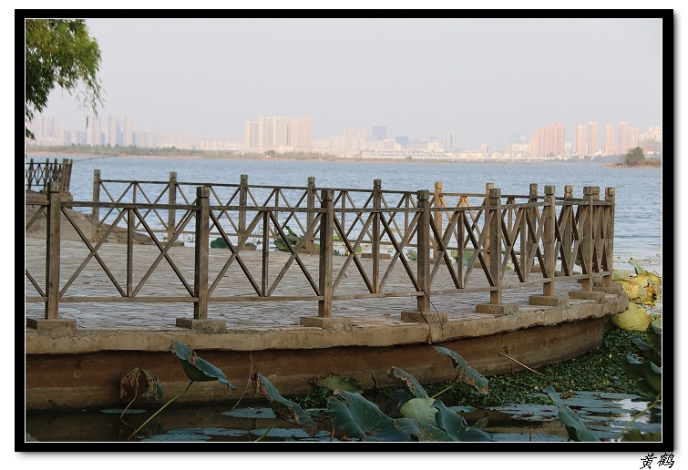 ��ٺ�--���赺056.jpg