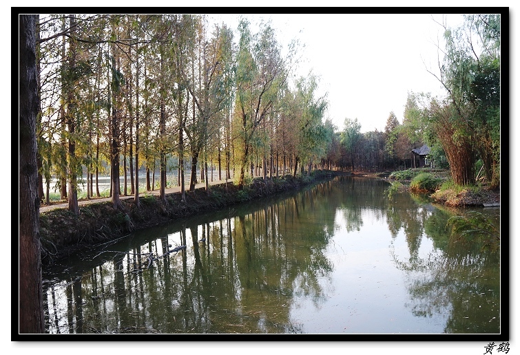 ��ٺ�--���赺091.jpg