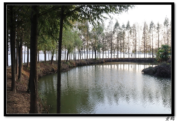 ��ٺ�--���赺094.jpg