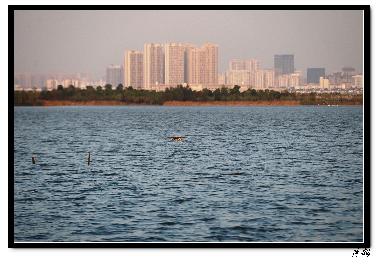 ��ٺ�--���赺096.jpg