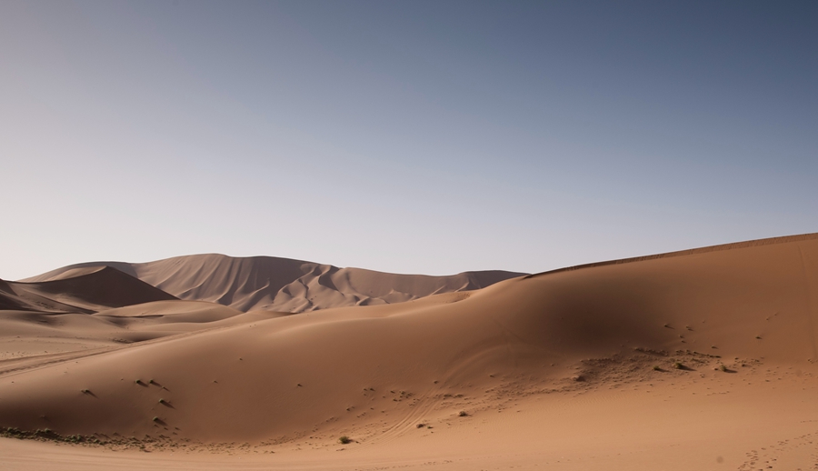 _dsc8602.jpg
