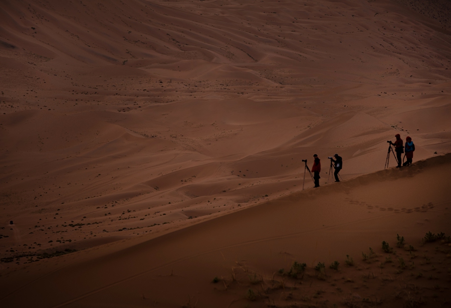 _dsc8756.jpg