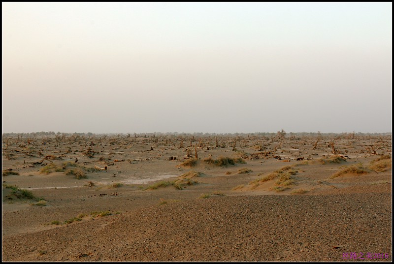 img075.jpg