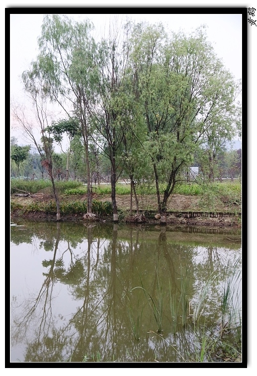 ��ٺ�--��ɽͷ05.jpg