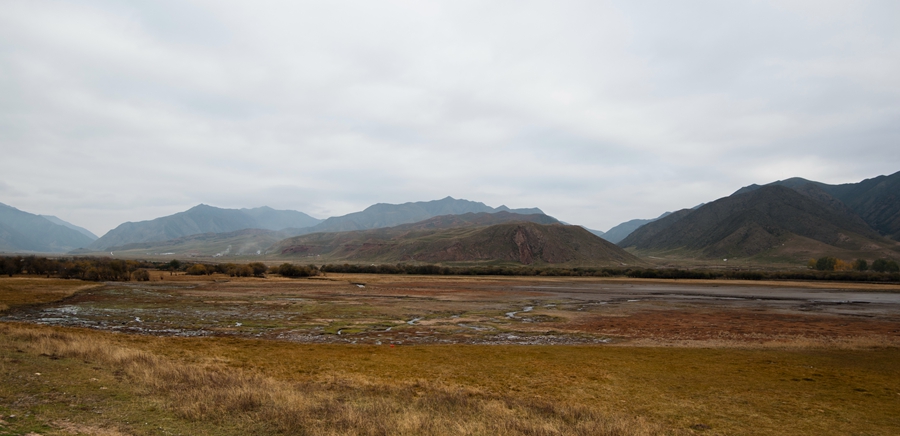 _dsc8947.jpg