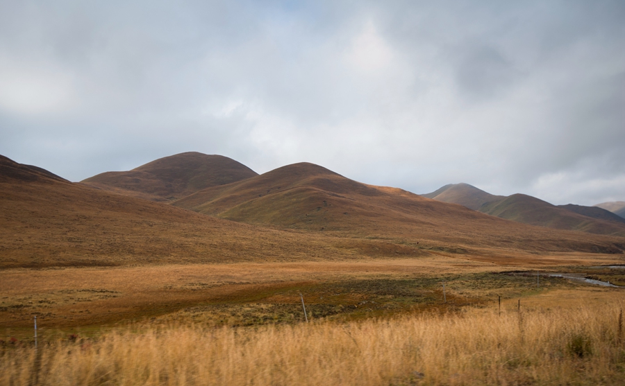 _dsc9010.jpg