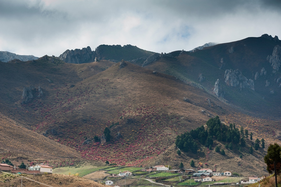_dsc9081.jpg