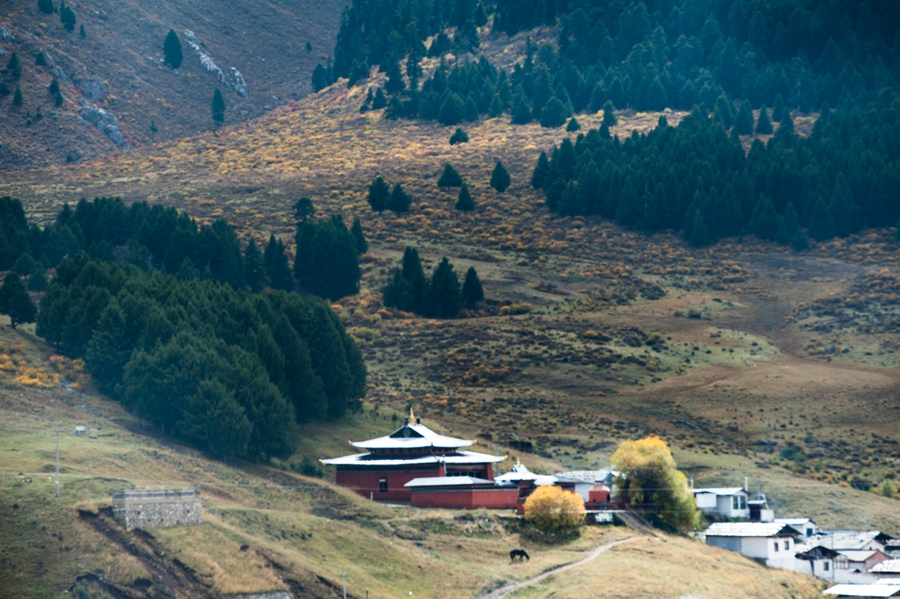 _dsc9085.jpg