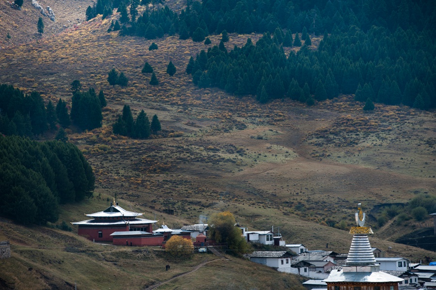 _dsc9104.jpg