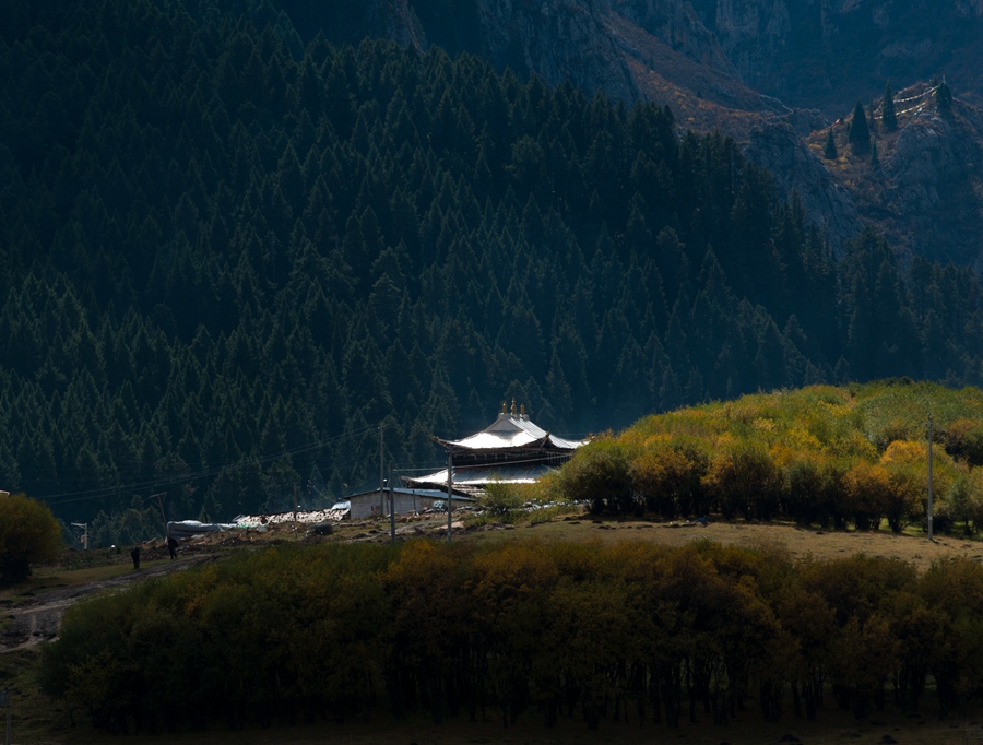 _dsc9099.jpg